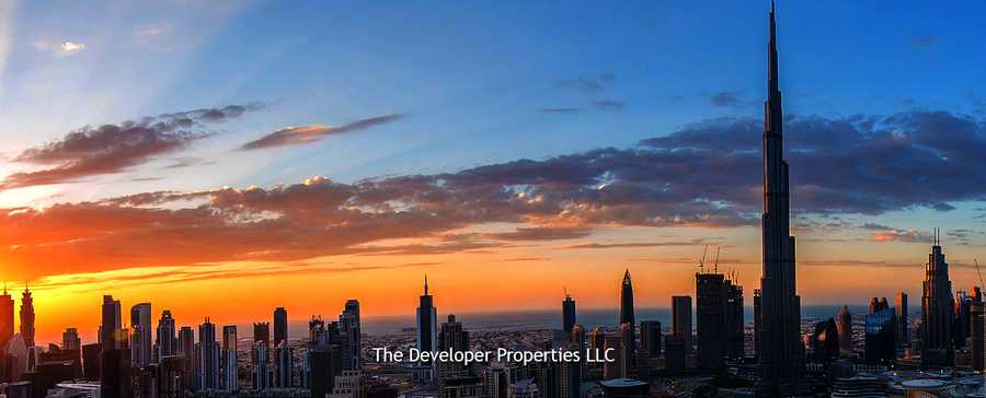 The Developer Properties LLC