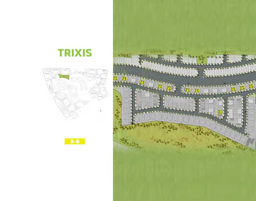 Trixis-Image3