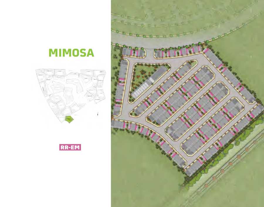 Mimosa – Area View