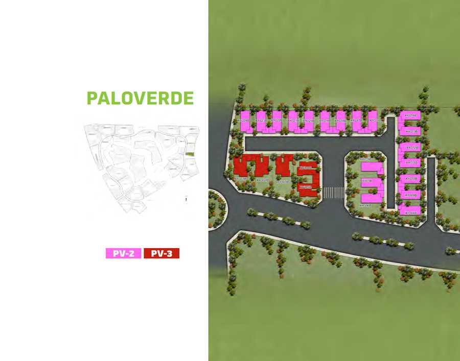 Paloverde – Area View