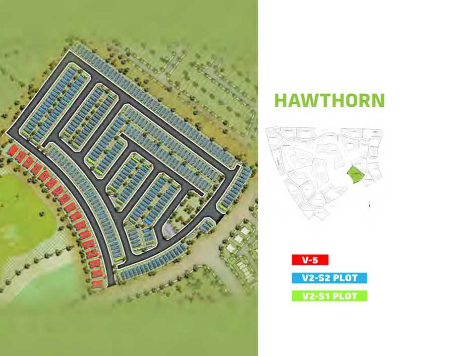 Hawthorn – Area View