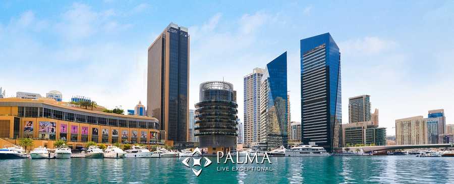 Palma Development