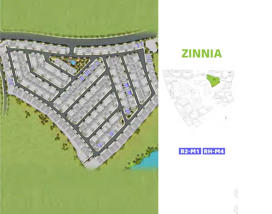 Zinnia – Area View
